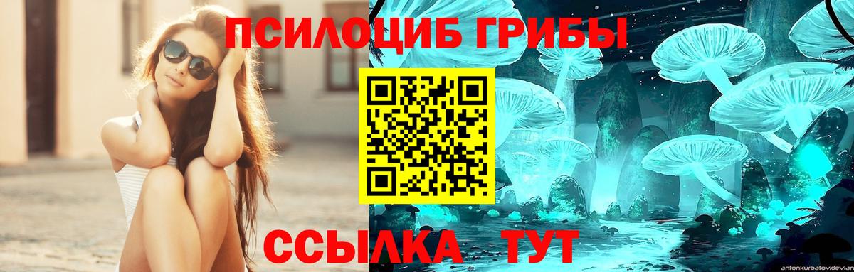 Псилоцибиновые грибы GOLDEN TEACHER  Вход с VPN  Старая Русса  Псилоцибиновые грибы MAGIC MUSHROOMS 