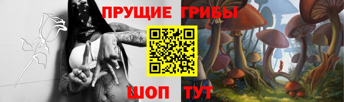 Псилоцибиновые грибы Magic Shrooms Старая Русса